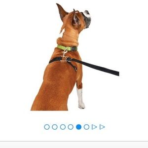 Adjustable Green Dog Harness for Men Other - Classic Walk Lead